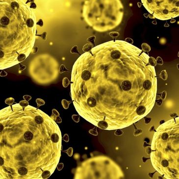 Как защититься от коронавируса 2019-nCoV